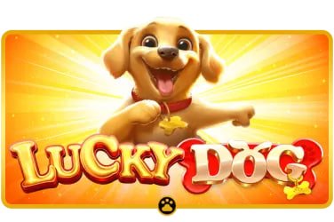 Interface aplikasi jp slot untuk Qiu Qiu